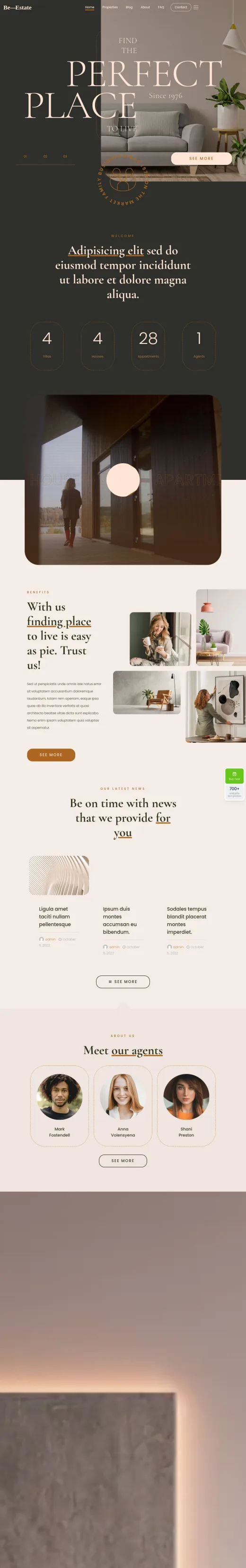 Project screenshot